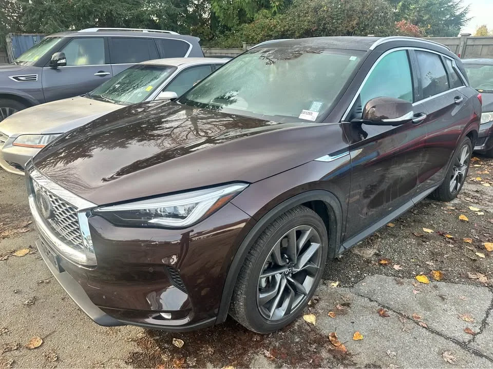 2021 Infiniti QX50 image indicator(2)