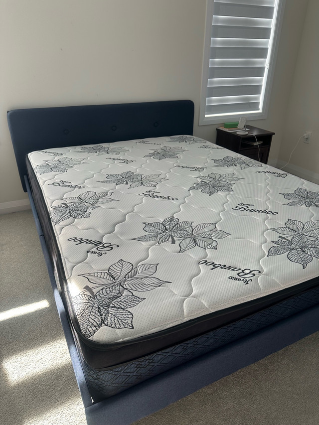Queen size frame bed with mattress