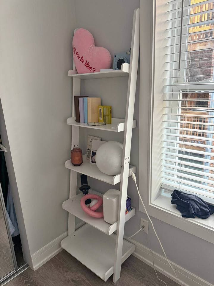 Ladder shelf