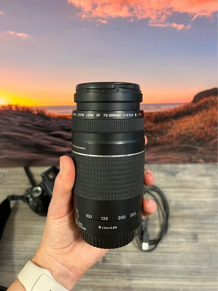 Canon Rebel EOS XTI + Zoom lenses - photo 5