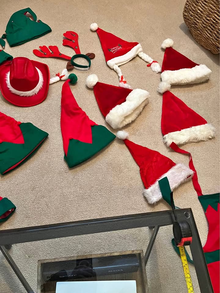 Christmas hats/costumes
