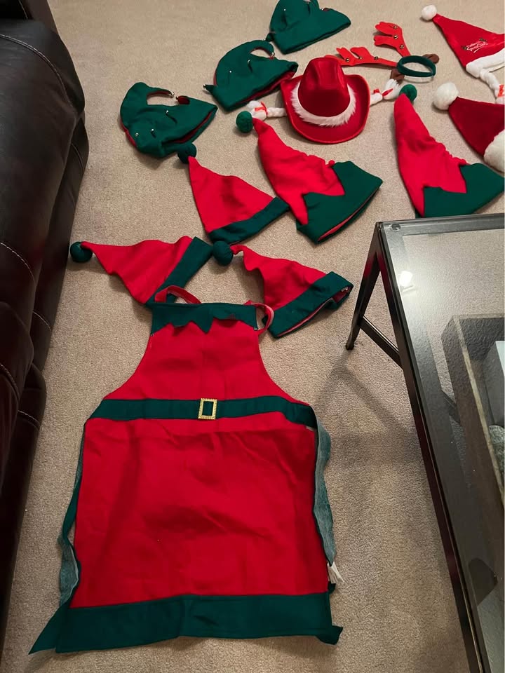 Christmas hats/costumes - photo 2