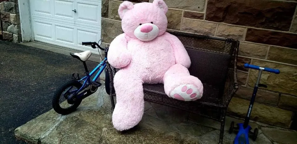 HUGE TEDDY BEAR TOY image indicator(3)