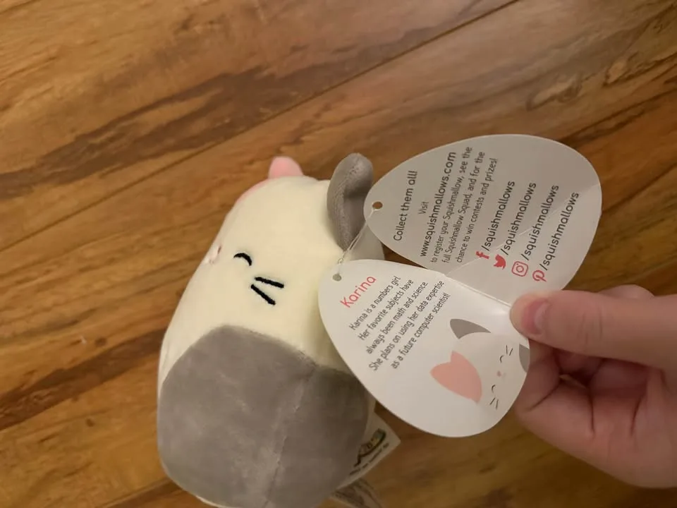 Squishmallow Cat stuffy image indicator(2)
