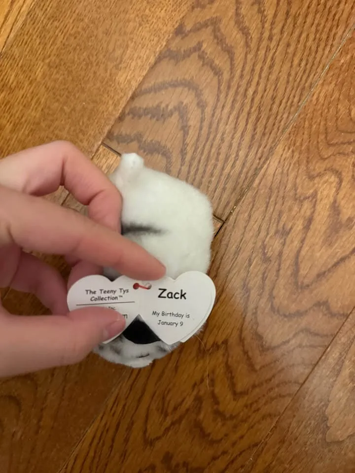 Mini Baby TY Toy image indicator(3)