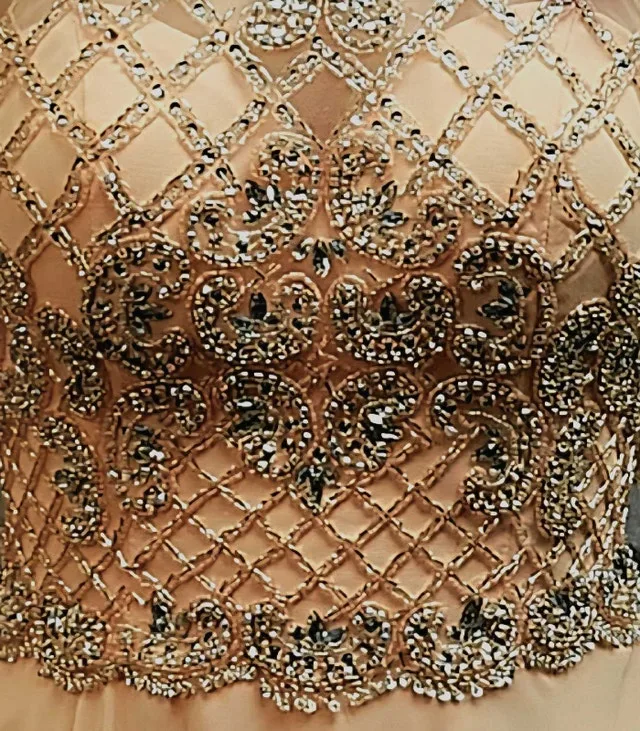 Designer Formal or Grad Gown by Alyce Paris image indicator(3)