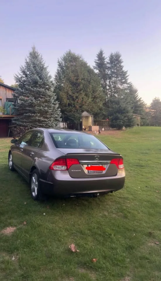 2010 Honda Civic LX-S image indicator(3)