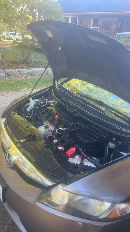 2010 Honda Civic LX-S image indicator(9)