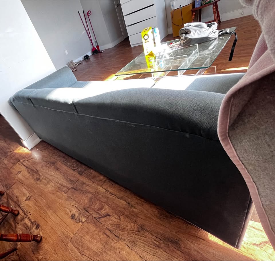 Sofa and a Chair - photo 4