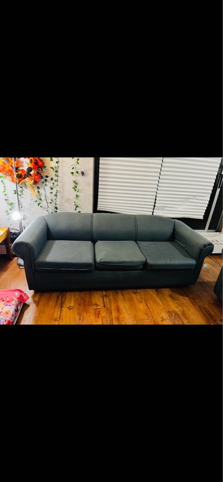 Sofa and a Chair - photo 5