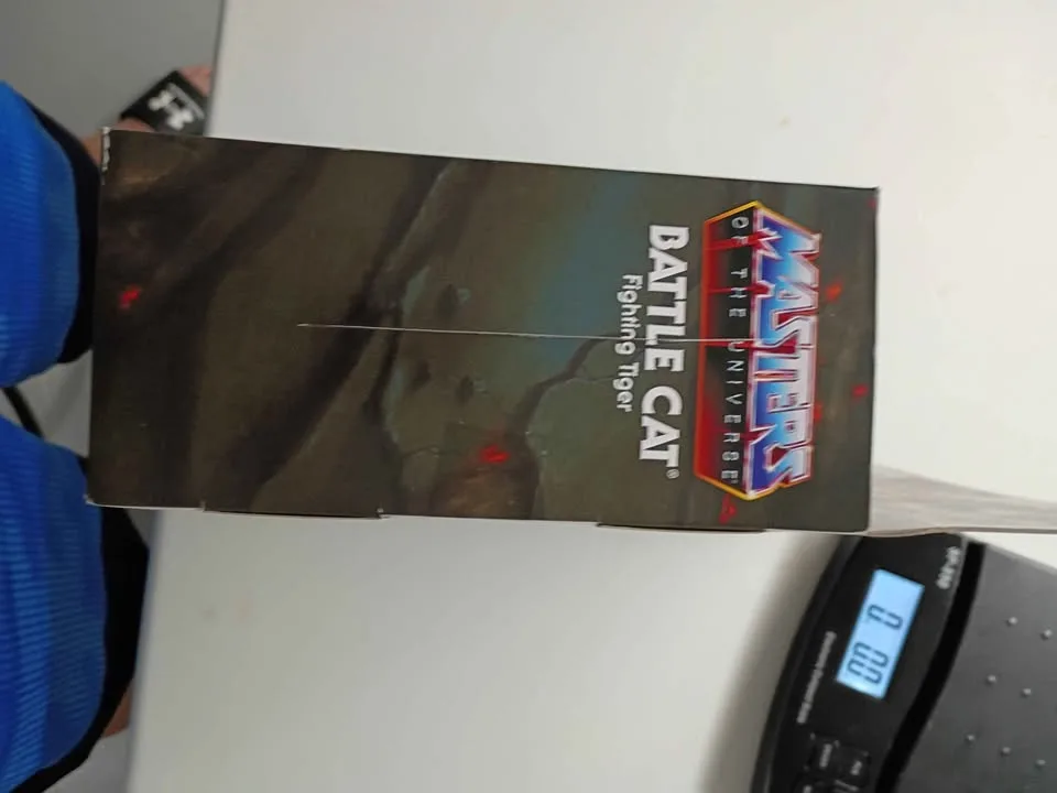 Battle cat fighting tiger masters of the universe image indicator(5)