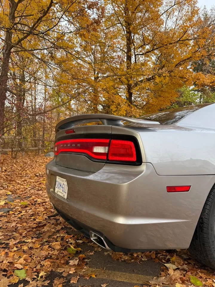 2011 Dodge Charger SXT image indicator(6)