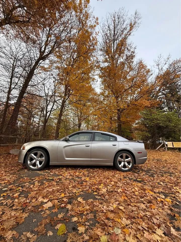 2011 Dodge Charger SXT image indicator(8)