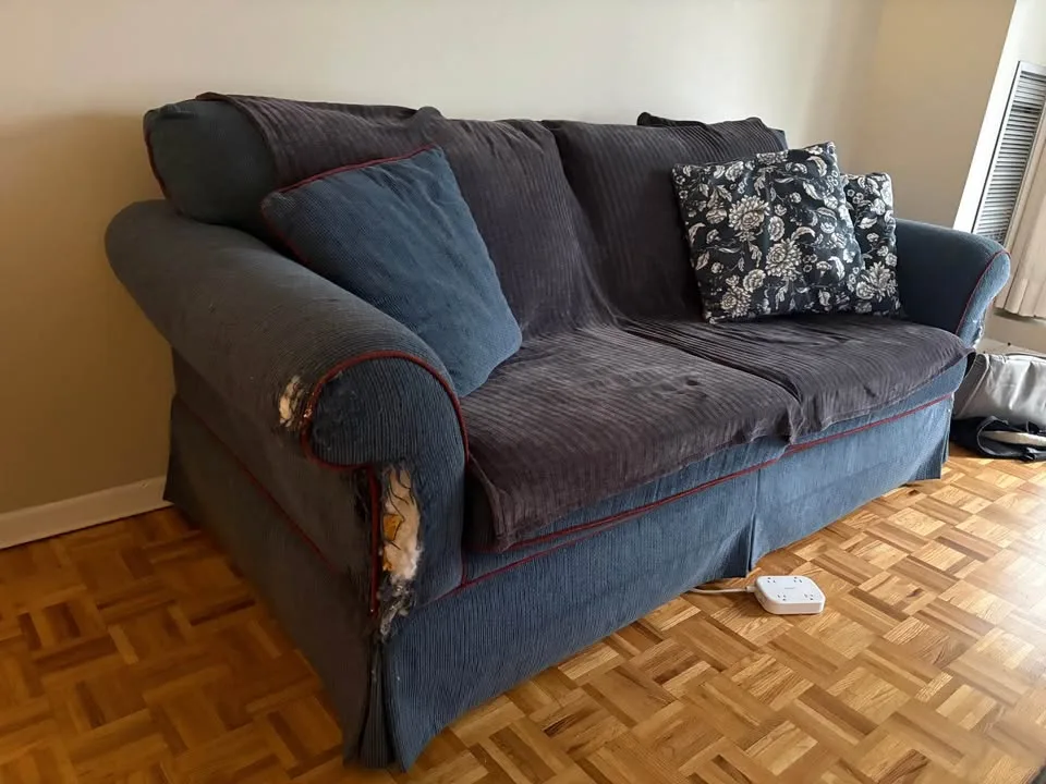 Free Couch - Must Go ASAP image indicator(2)