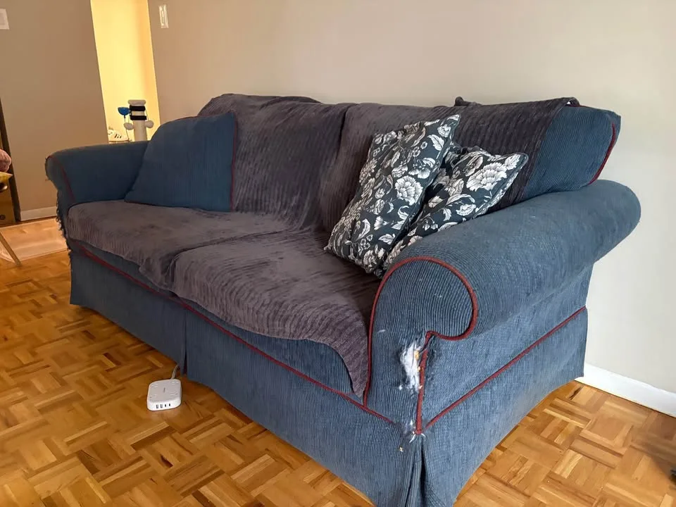 Free Couch - Must Go ASAP image indicator(3)