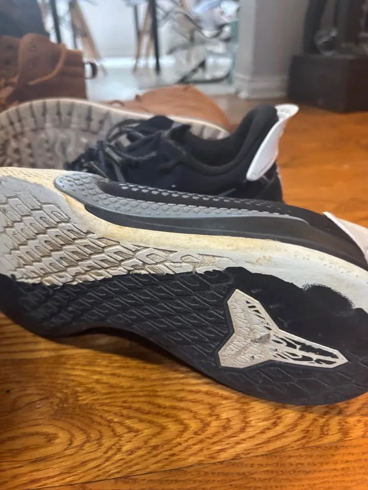 kobe mamba fury’s image indicator(4)