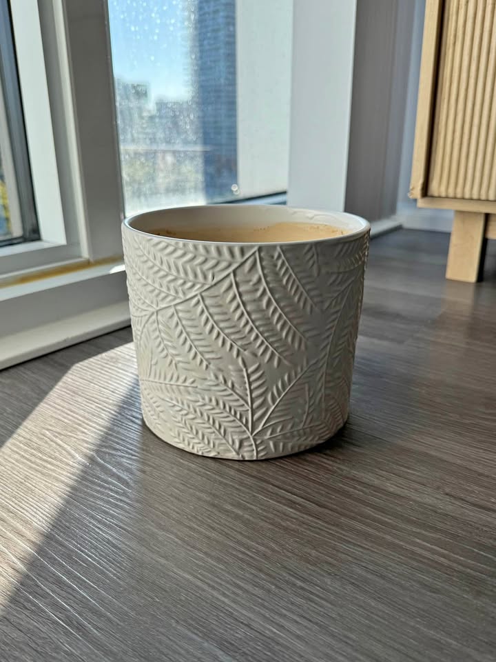 Flower vase (plants)