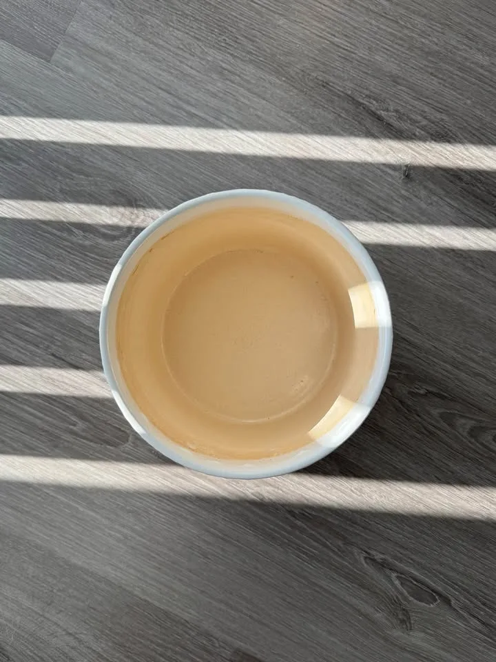 Flower vase (plants) image indicator(3)