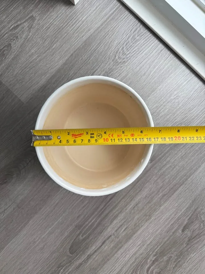 Flower vase (plants) image indicator(4)