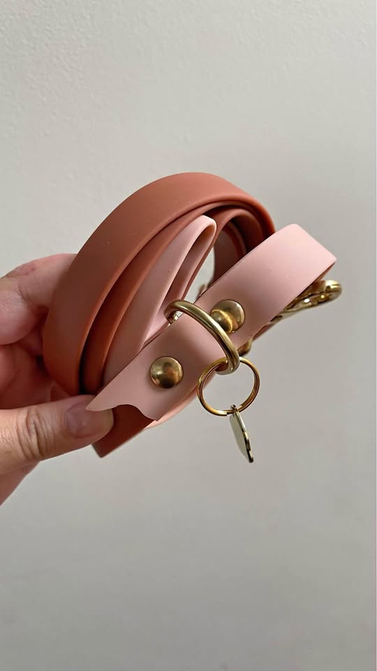 Le shoob brown and pink biothane leash with traffic handle