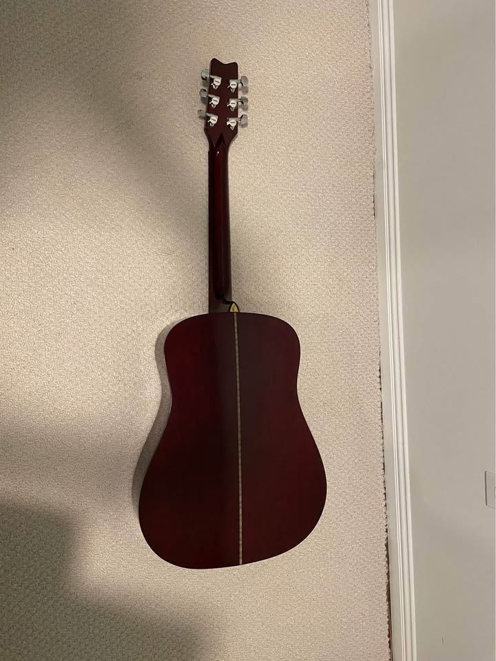 Vintage - Classical Guitar + Case - photo 2