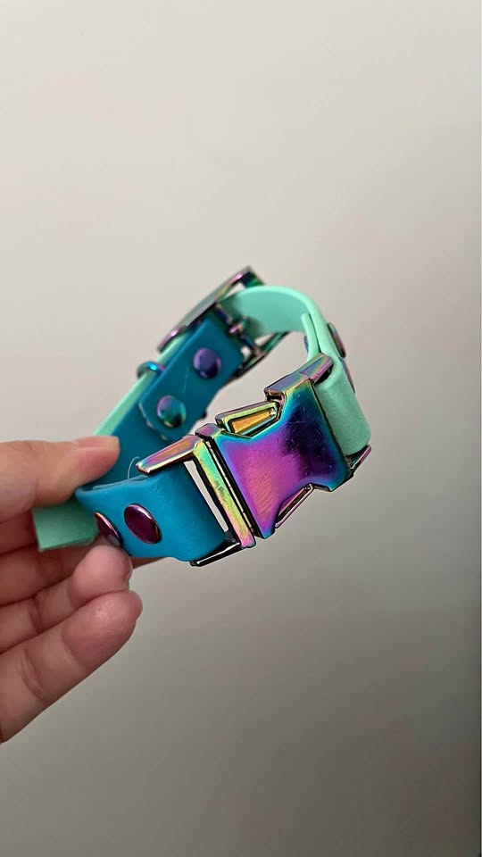 Biothane dog collar