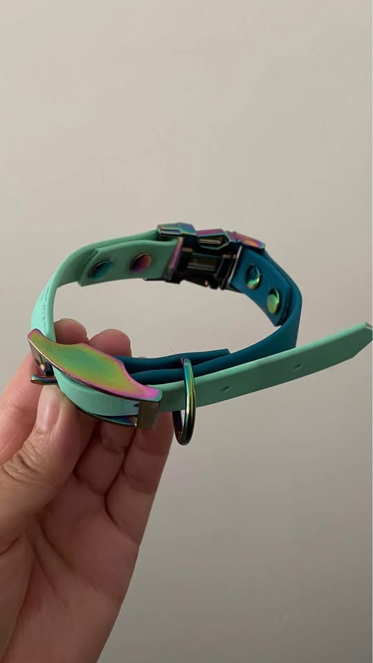Biothane dog collar - photo 2