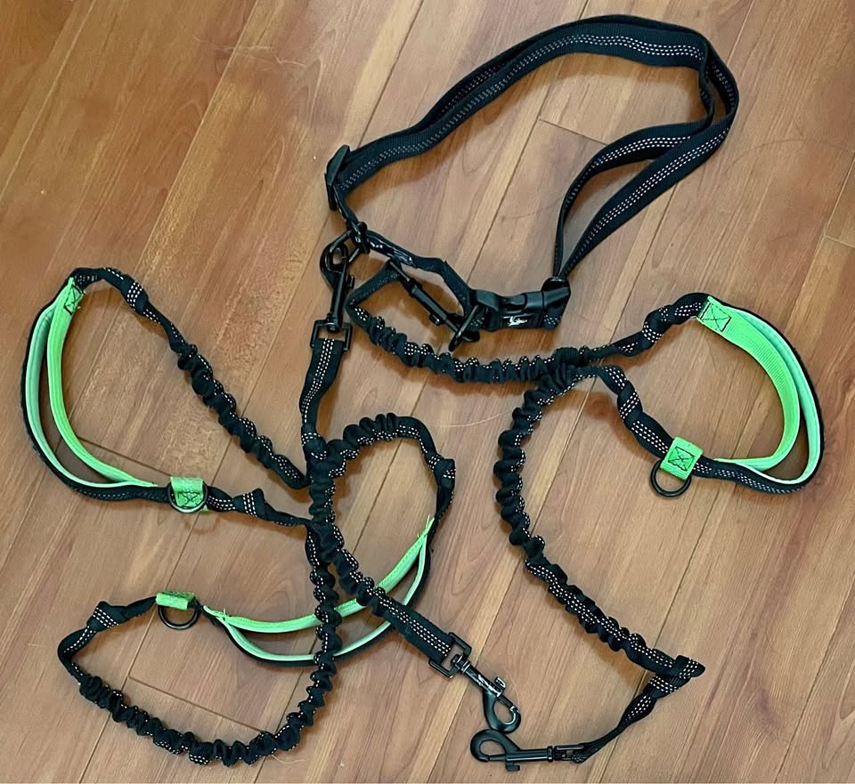Hands free dog bungee leash and belt set
