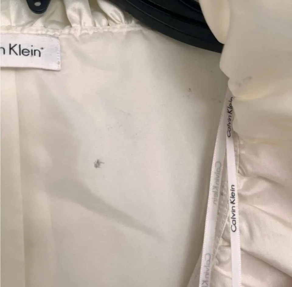 Calvin Klein Ivory Ruffled Blazer image indicator(4)