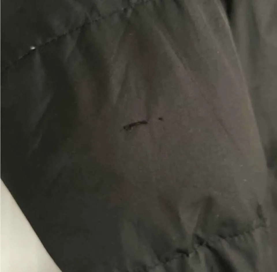 Boys Winter Jacket image indicator(3)