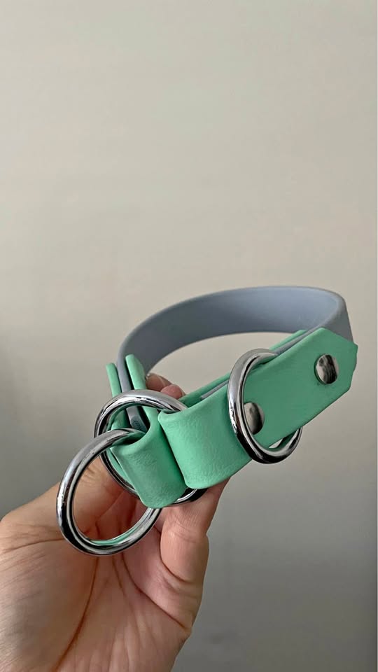 Goodwolf biothane slip collar
