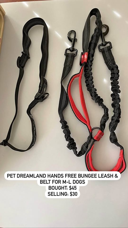 Hands free dog bungee leash and belt set
