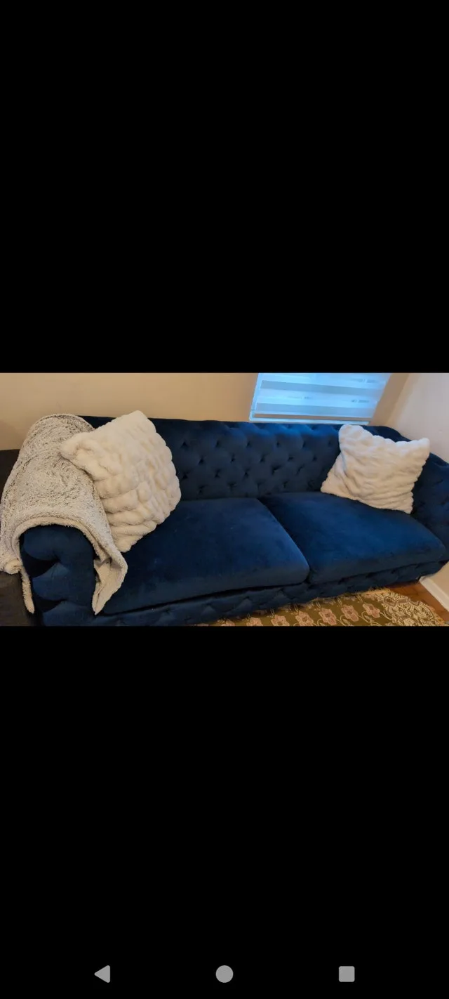 Royal Sofa image indicator(4)