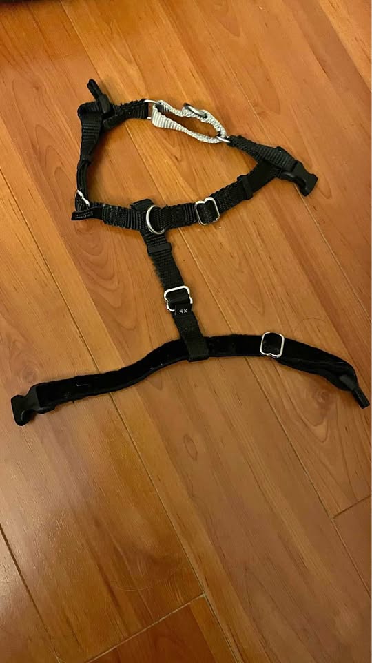 2 Hounds Design Freedom No Pull Dog Harness