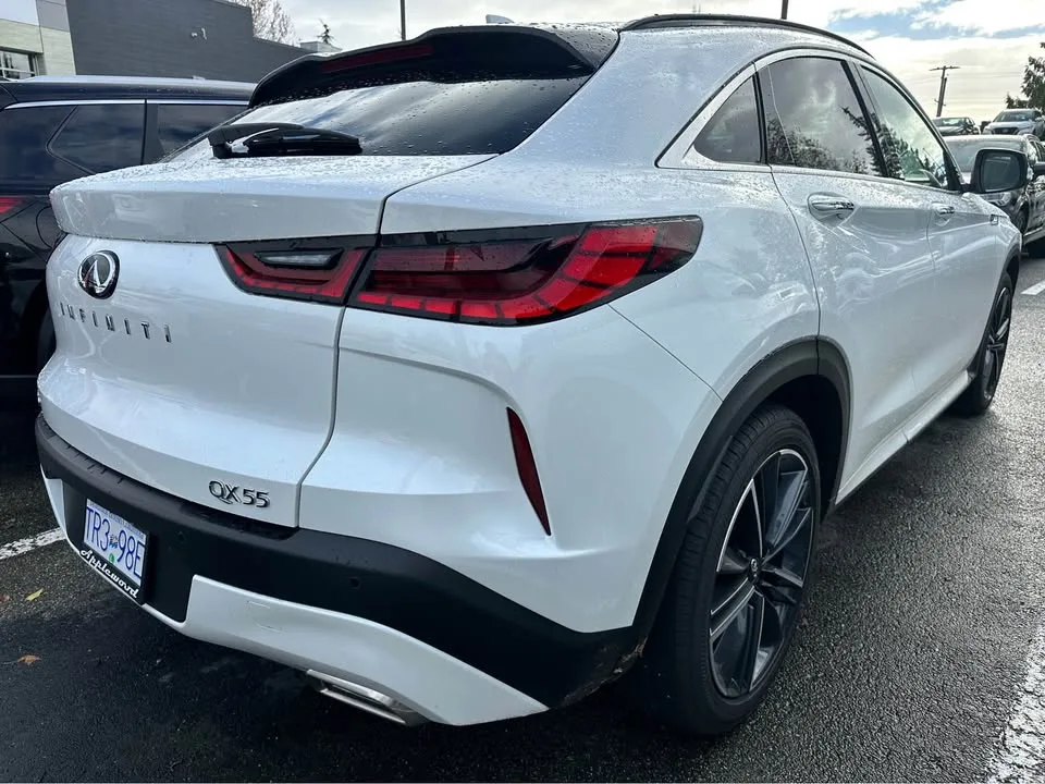 2025 Infiniti INFINITI QX55 image indicator(7)
