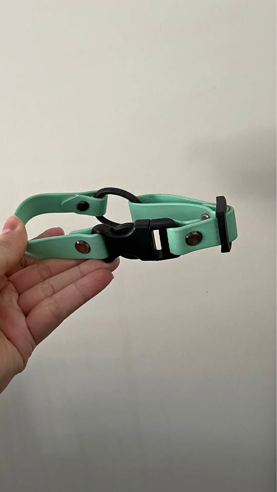 Westcoastcollarz biothane ecollar strap
