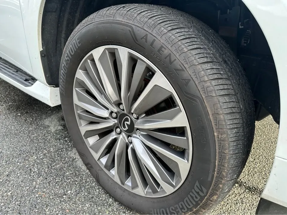 2025 Infiniti QX80 image indicator(10)