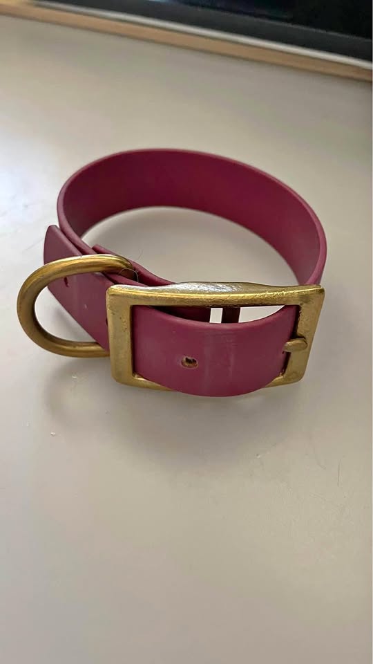 Biothane flat buckle collar