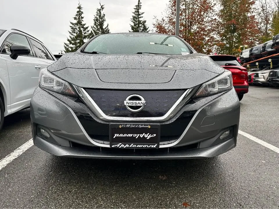 2019 Nissan LEAF SL image indicator(2)