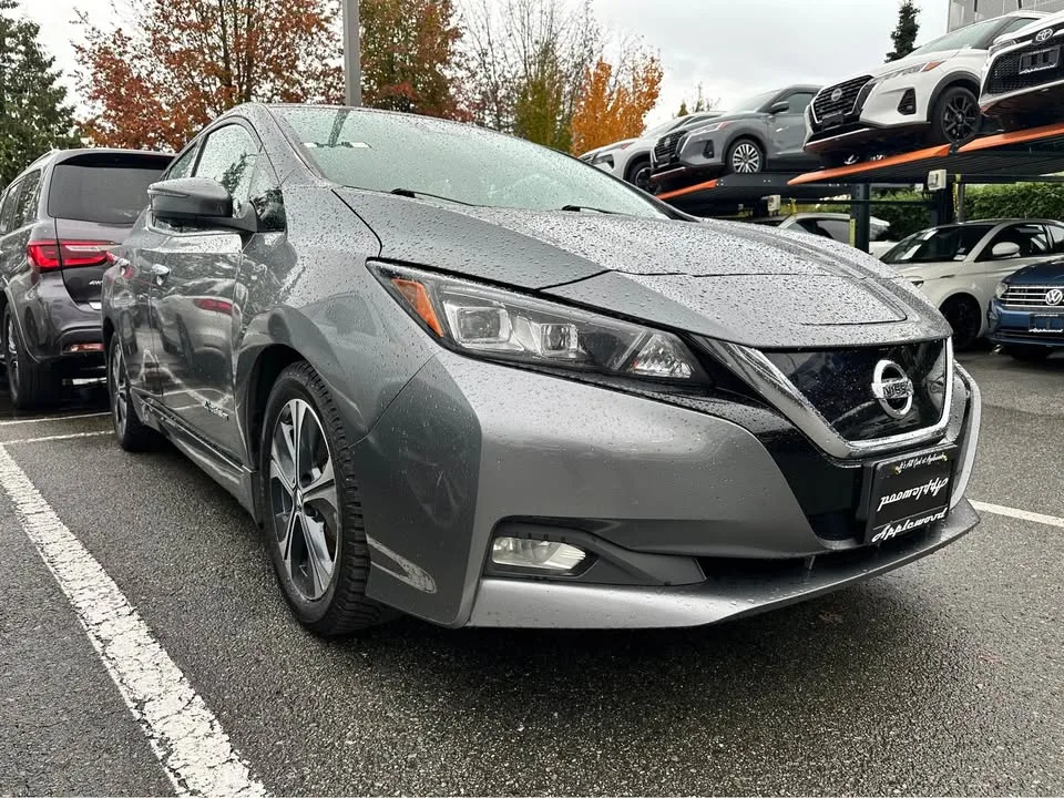 2019 Nissan LEAF SL image indicator(5)
