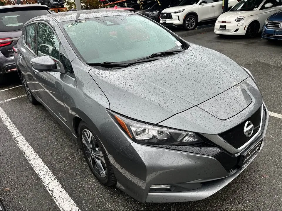 2019 Nissan LEAF SL image indicator(6)