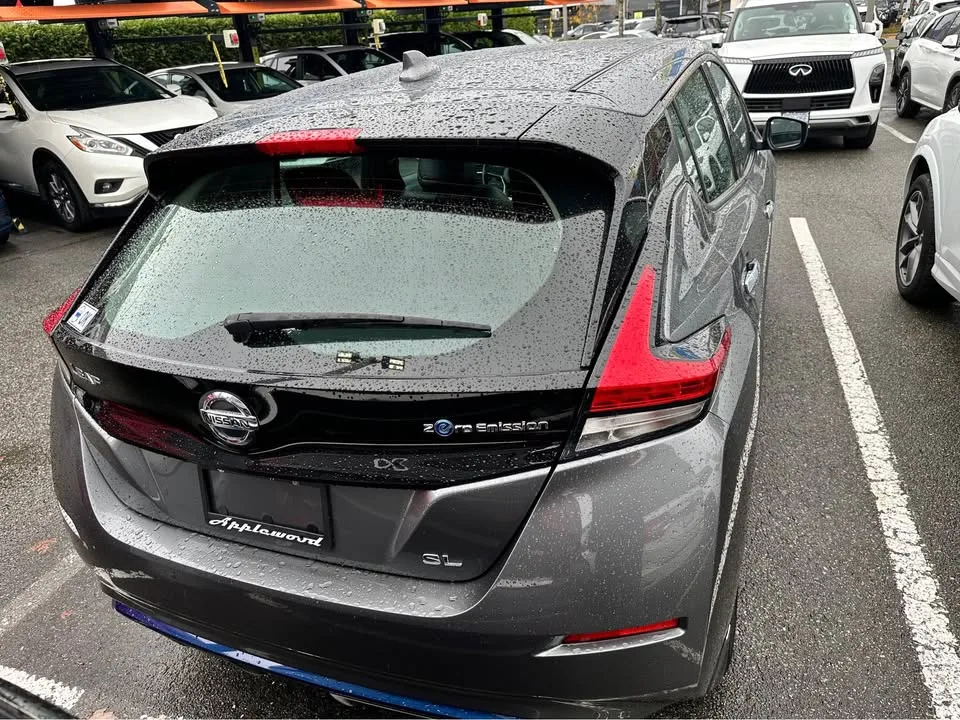 2019 Nissan LEAF SL image indicator(8)