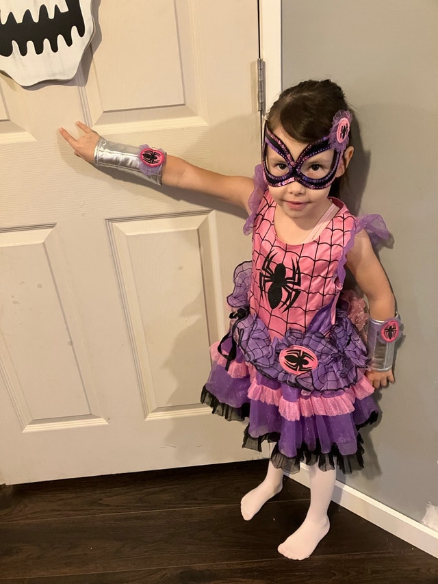 Spider Girl Costume - photo 4