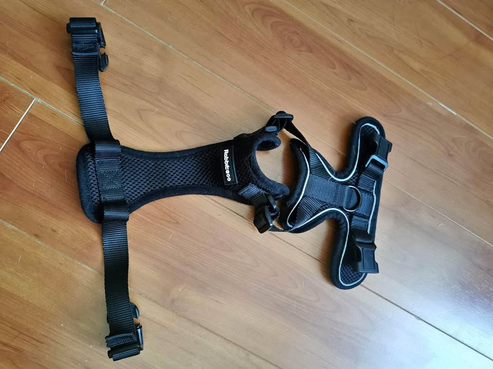 Cat harness