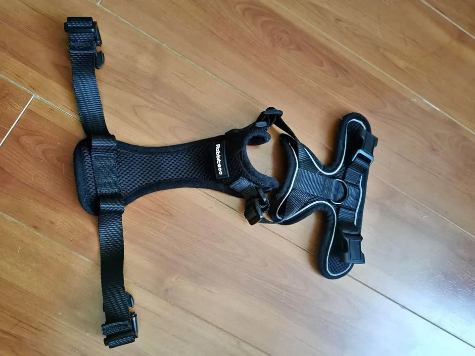 Cat harness thumbnail