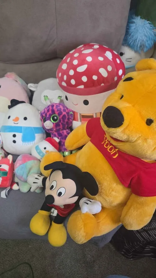 Squishmallows an Stuff Animals image indicator(3)