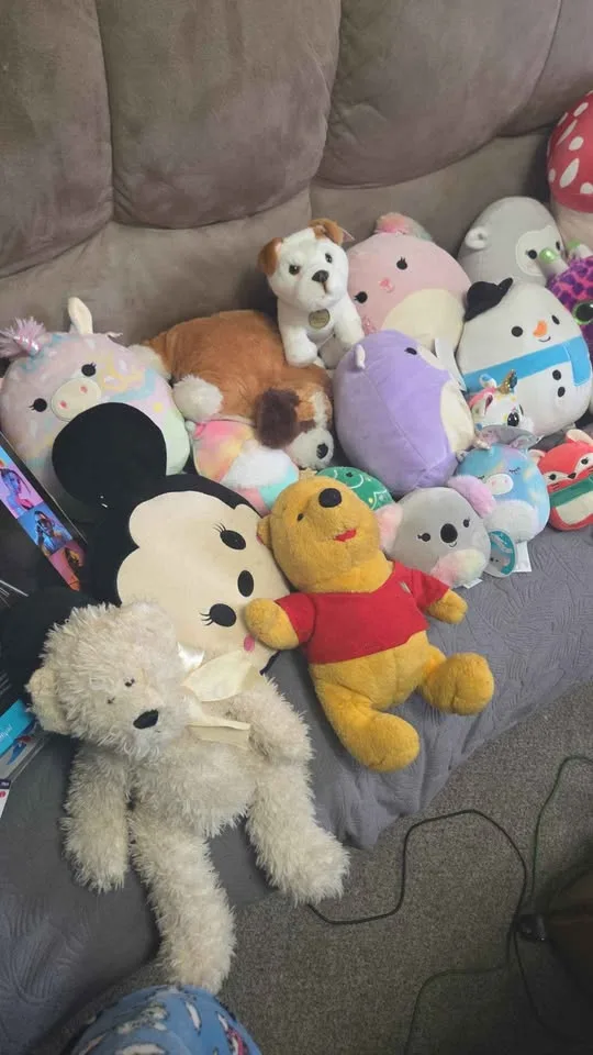 Squishmallows an Stuff Animals image indicator(4)