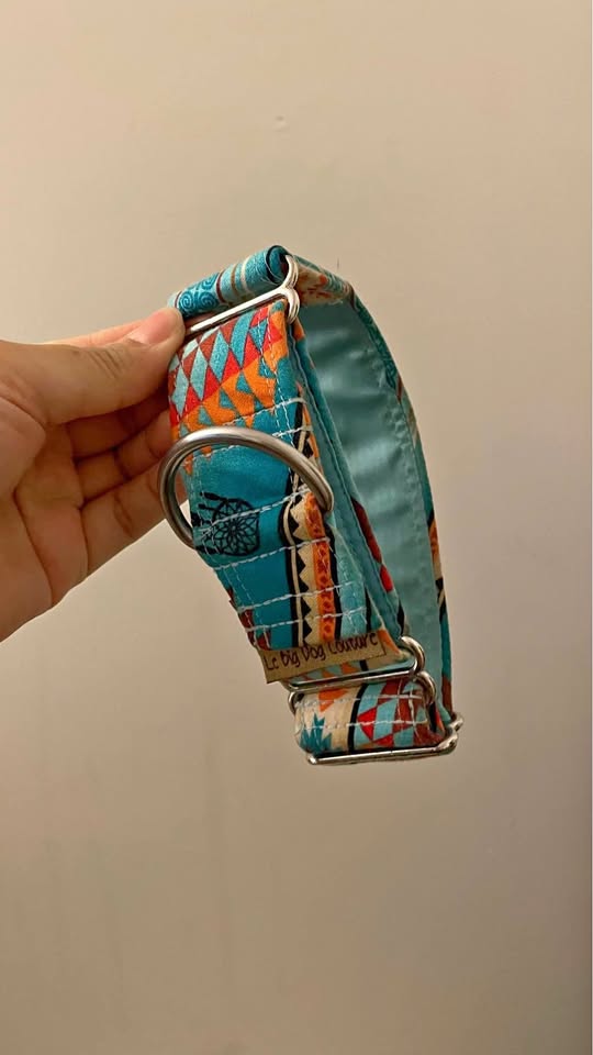 Martingale collar