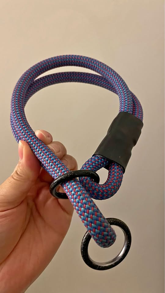 Volkshund rope slip collar