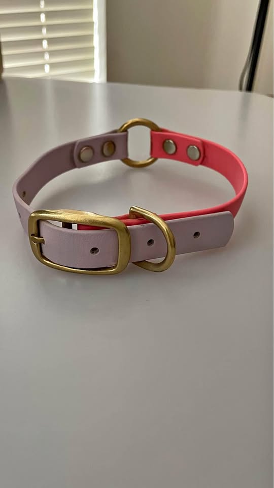 Biothane Dog Collar